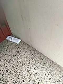 下载 (14)